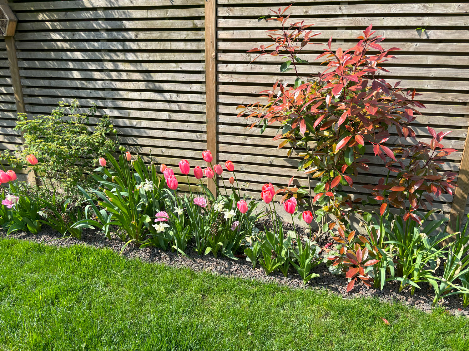Lentebloemen